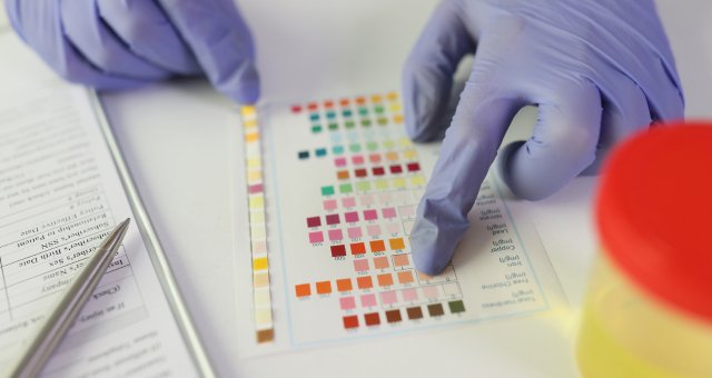 Benefits of Alkalife pH Balance Dietary Supplement Tablets - Alkalife