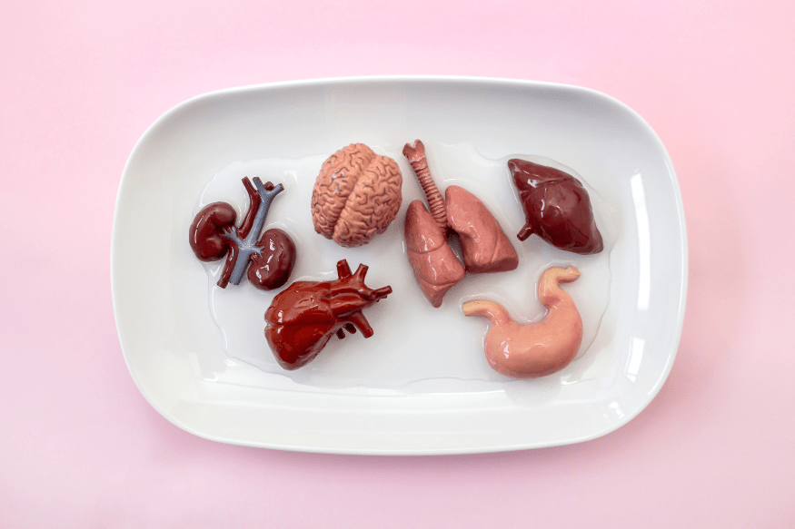 Fitness for Your Organs: Exercises That Support Heart, Liver, and Brain Health - Alkalife