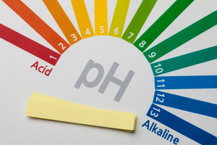 The Importance of Body pH Balance for Optimum Blood Flow & Oxygen Transfer - Alkalife