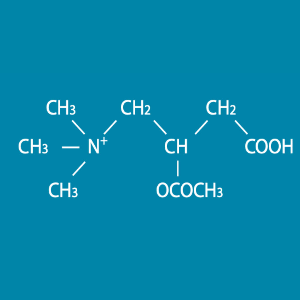 Acety L Carnitine Monograph